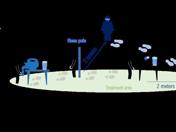 A figure shows practical approaches for implementing mass drug administration in a household setting to prevent the transmission of COVID-19. 